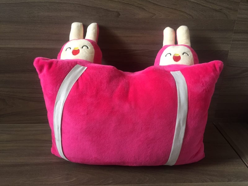 Chiếc gối con thỏ yêu thích của Silk mỗi lúc đi xe