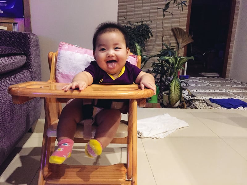 Silk thích thú với đồ chơi mới