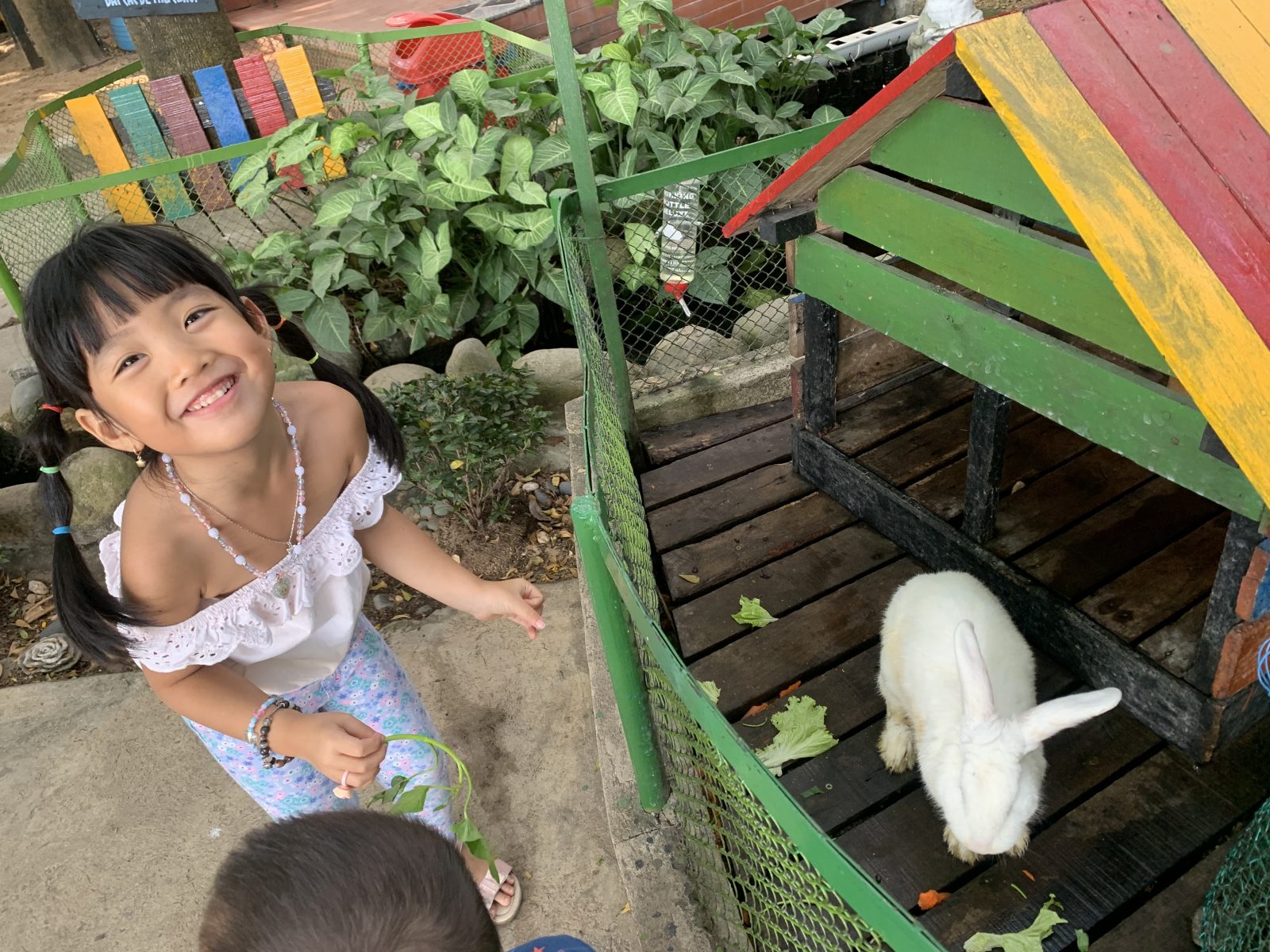 Cafe Pet Me - Sân chơi cho trẻ yêu động vật