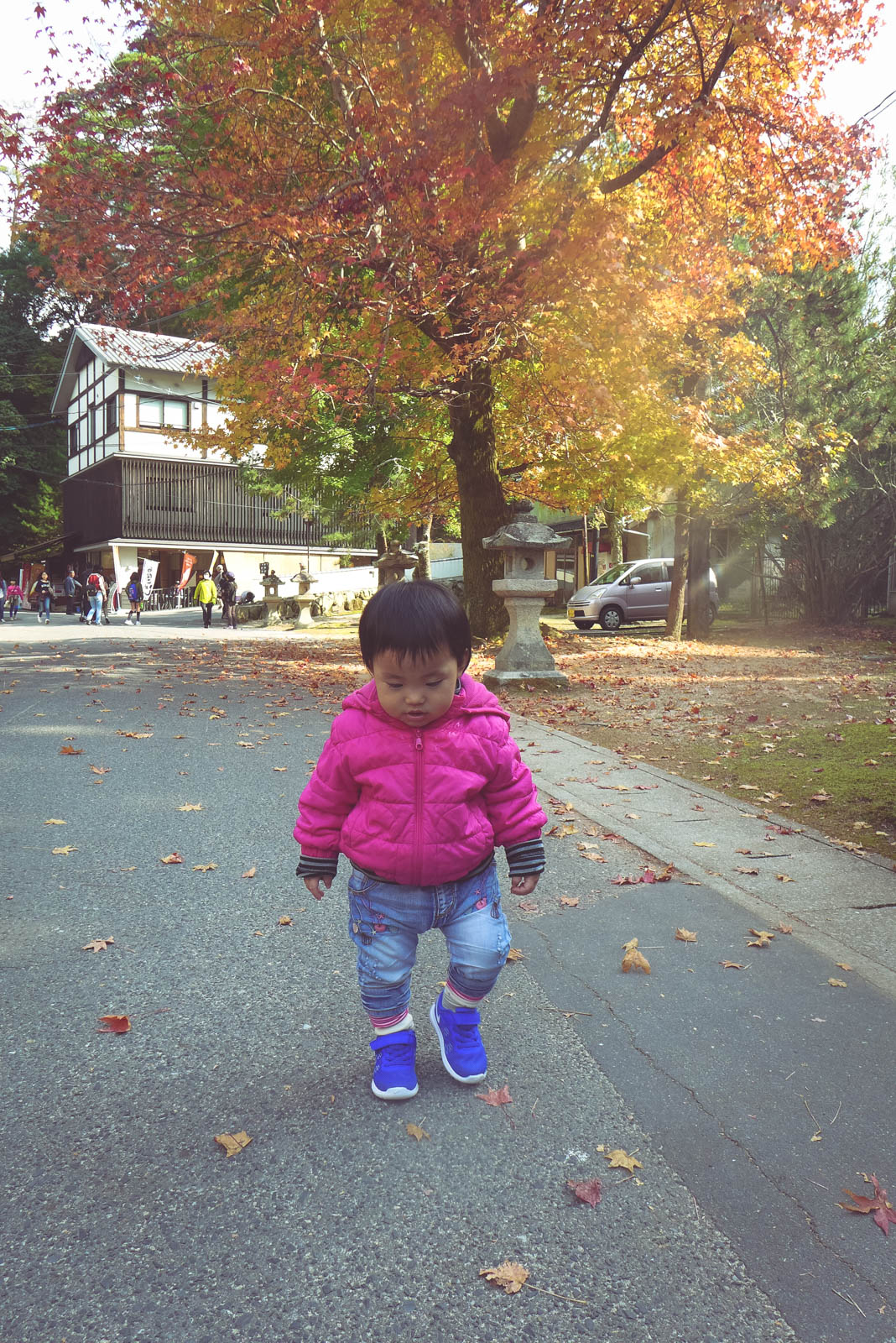 Silk mang Nike Free trong suốt 20 ngày tại Nhật. Giày êm lắm mà lại ấm nên mình cực kỳ yên tâm cho con tha hồ chạy nhảy khám phá.